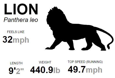 How Fast Can A Lion Run In Km Per Hour